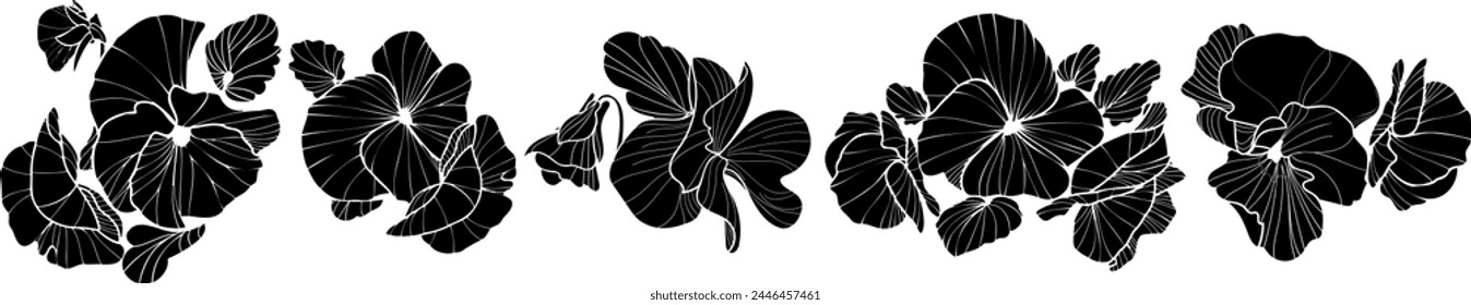 Vector pansy floral botanical flowers. Black and white engraved ink art. Isolated pansy illustration element on white background.