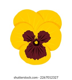 flor vectorial pansy (Viola) aislada en fondo blanco