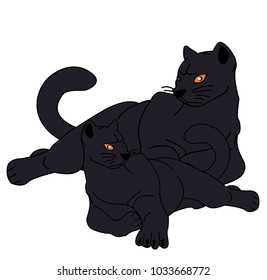 Vector panthers isolated