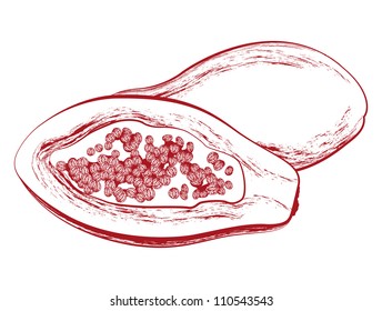 Vector Papaya