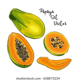 Ilustración de Vector Papaya