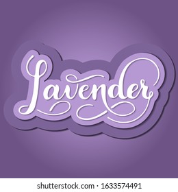 Vector paper cut illustration of hand written lavender text. 3d paper art. Kitchen healthy herbs and spices. Script brushpen lettering with flourishes. Handwriting for banner, poster, product label