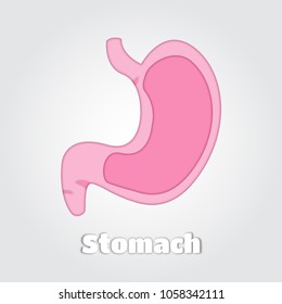 Vector paper cut illustration of stomach, internal organ cutout, papercut of cartoon belly.