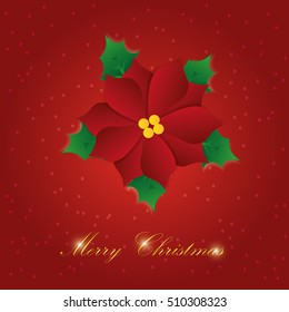 Vector paper graphic of Christmas flower.