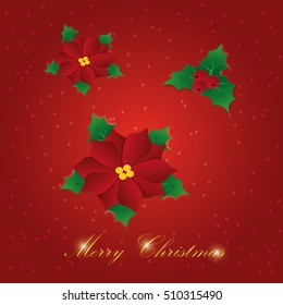 Vector paper graphic of Christmas flower.