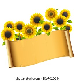 Vector Paper Placard with Sunflowers isolated on white background