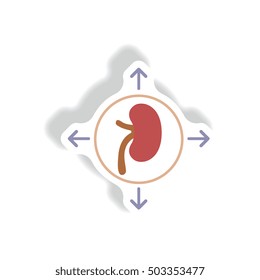 Vector paper sticker various symptoms of Malaria on the bodies