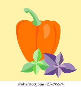 Vector paprika with basil leaves. Sweet  pepper . Cooking  ingredients vector elements. Italian cuisine background.