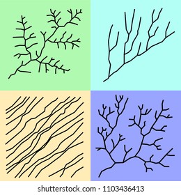 vector of parallel pinnate braided subdendritic tree trunks