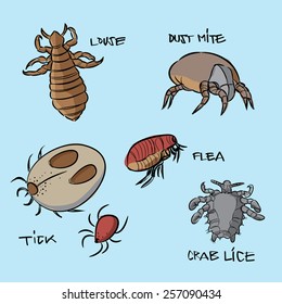 89 Crab lice Images, Stock Photos & Vectors | Shutterstock
