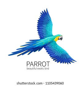 Vector parrot. Exotic tropical bird flies. Bright illustration cartoon style for summer tropical paradise advertising vacation design.