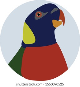 Vector Parrot Illustration Drawing Art