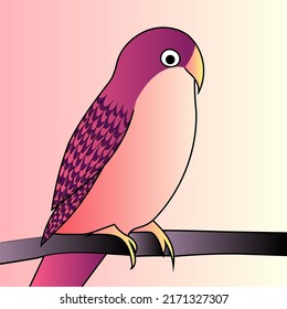 Ilustración del loro vectorial en el fondo aislado