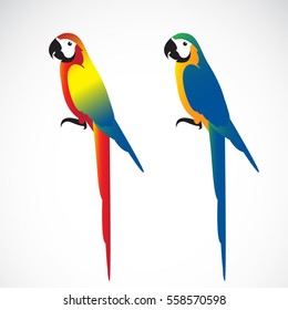 Vector of a parrot (Macaws) on white background. Wild Animal. Bird Design