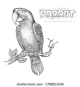 vector parrot perched on a tree trunk, illustration of a hand-drawn animal