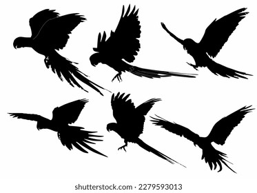 Vector parrot silhouette of amazon jungle isolated on white background, logo, icon