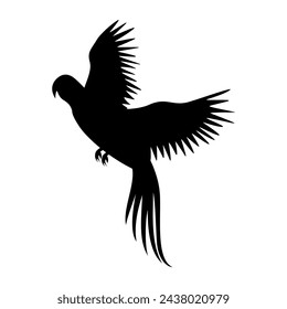 Vector parrot silhouette isolated on white background