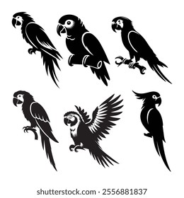Vector parrot silhouette isolated on white background
