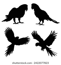 Vector parrot silhouettes of amazon jungle isolated on white background