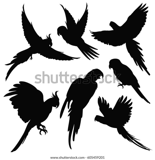 白い背景にベクターオウム アマゾンジャングル鳥のシルエット 黒いシルエットオウム エキゾチックな鳥のオウムのイラスト のベクター画像素材 ロイヤリティ フリー