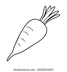 Vector of parsnip illustration coloring page for kids