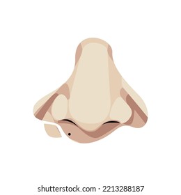 vector parts of the human nose 