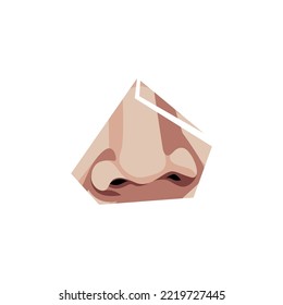 vector parts of the human nose 