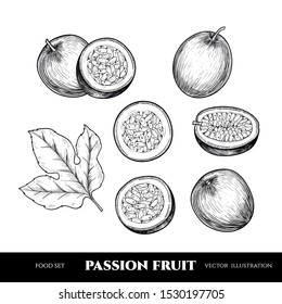 Vector passion fruit hand drawn sketch. Sketch vector  food illustration. Vintage style