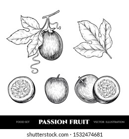 Vector passion fruit hand drawn sketch. Sketch vector  food illustration. Vintage style