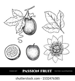 Vector passion fruit hand drawn sketch. Sketch vector  food illustration. Vintage style