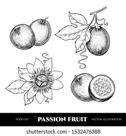 Vector passion fruit hand drawn sketch. Sketch vector  food illustration. Vintage style