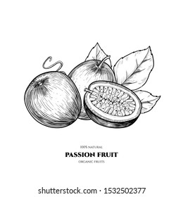 Vector passion fruit  hand drawn sketch. Vintage style