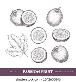 Vektor Passion Frucht handgezeichnet Skizze. Skizze, Vektorgrafik von Lebensmitteln. Vintage-Stil
