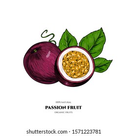 Vector passion fruit  hand drawn sketch. Vintage style
