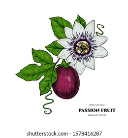 Vector passion fruit  hand drawn sketch. Vintage style