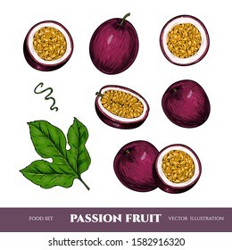 Vector passion fruit hand drawn sketch. Sketch vector  food illustration. Vintage style
