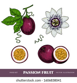 Vector passion fruit hand drawn sketch. Sketch vector  food illustration. Vintage style
