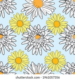 Vector pastel blue background daisy flowers and wild flowers. Seamless pattern background