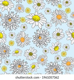 Vector pastel blue background daisy flowers and wild flowers. Seamless pattern background