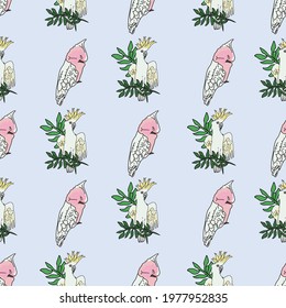 Vector pastel blue background tropical birds, parrots, exotic cheese plant, monstera, hibiscus flowers. Seamless pattern background