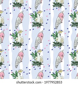 Vector pastel blue background tropical birds, parrots, exotic cheese plant, monstera, hibiscus flowers. Seamless pattern background