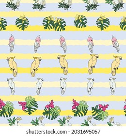 Vector pastel blue background tropical birds, parrots, exotic cheese plant, monstera, hibiscus flowers. Seamless pattern background