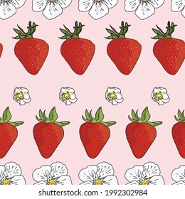 Fresas de jardín de fondo rosa pastel vectorial, flores de baya, frutos de bayas. Fondo de patrón sin problemas
