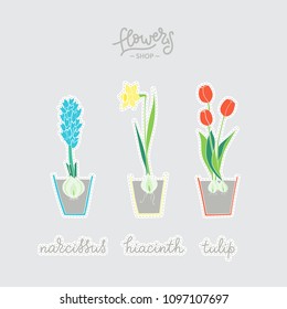 Vector patch set of different Spring Flowers in Pots and modern Calligraphy phrases. Isolated illustrations - great for stickers, embroidery. 