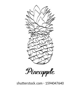 Vector path original natural pineapple with calligraphy text for poster, cards, branding, decor