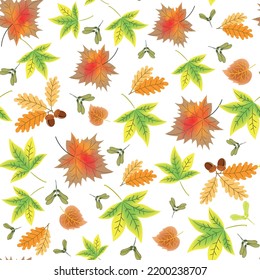 vector pattern with autumn bright leaves, maple seeds and acorns, autumn leaf fall