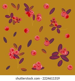 Vector pattern with autumn cranberry