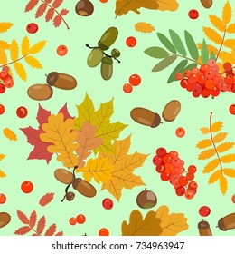 Vector pattern in autumn style with mature acorns, a cluster of mountain ash, maple, oak and rowan leaves of yellow, green and red hues. Nuts and berries.