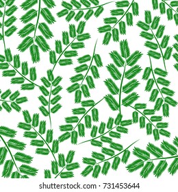 Vector pattern background branches with green leaves on white background.