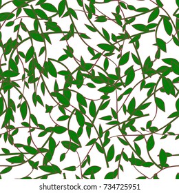 Vector pattern background branches with green leaves on white background.